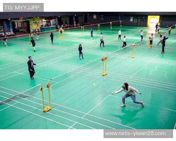 南京羽毛球队成员个人能力深度对比与分析探讨